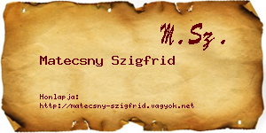 Matecsny Szigfrid névjegykártya